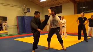 Pencak Silat stage avec Hugo Tronche Professeur de Pencak amp Self Défense [upl. by Eladal]