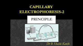 Capillary Electrophoresis2Principle [upl. by Whorton]