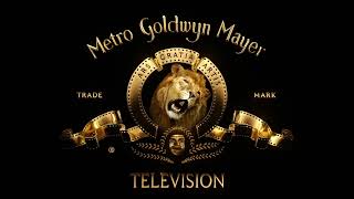 Amblin TelevisionImageMoversMGM TelevisionWarner Bros Television 2023 [upl. by Ainer]