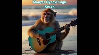 Monyet Nyanyi Lagu Kocak [upl. by Winnifred]