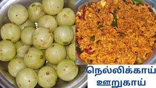 nellikai oorugai in tamil  grated nellikai pickle in tamil  grated gooseberry pickle [upl. by Sallie460]