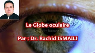 Le globe oculaire  Anatomie de l’œil humain [upl. by Nawtna88]