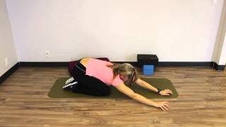 5 Minutes To Change Your Pain  Latissimus Dorsi amp Low Back [upl. by Groeg616]