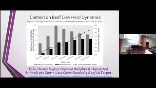 Beef Cattle Market Situation and Outlook [upl. by Emawk362]