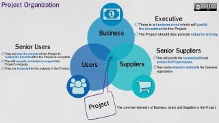 PRINCE2® Project Organization [upl. by Moia]