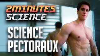 La Meilleure SÉANCE PECTORAUX  La Science en 2 minutes ou presque [upl. by Atilrac]