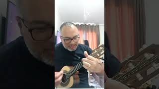 Refrão Vacilão Zeca pagodinho tom Bb transposição harmoniaemelodia cavacoevoz barítono [upl. by Noet800]