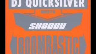 Dj Quicksilver Meets Shaggy  Boombastic Epic Mix [upl. by Nahseez]