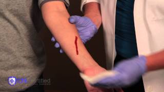 How to Stop Bleeding and Apply Bandages [upl. by Dnar]