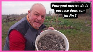 Pourquoi mettre de la potasse ou même cendre de bois dans son jardin [upl. by Anayet]