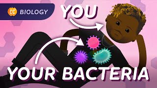 Bacterial DNA amp Genetics Crash Course Biology 38 [upl. by Marcela968]