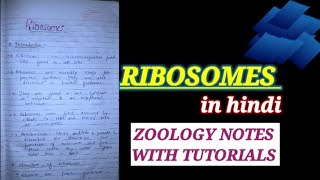 RIBOSOMES IN HINDI ribosomeinhindi ribosomenotes zoologynotes bsc1styearzoology cellbiology [upl. by Esirtal]