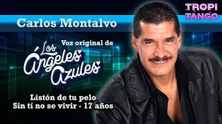 Popurri  Carlos Montalvo │ Ex vocalista Angeles Azules [upl. by Oralia171]