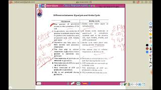 glycolysis and krebs cycle differenceHarunbiozone [upl. by Fisk805]