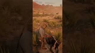 bow bowandarrow rdr2 rdr2online gaming xboxone [upl. by Ewan]