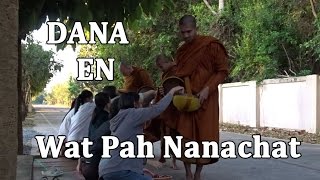 Dana en Wat Pah Nanachat English Subtitles [upl. by Taryn500]