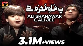 Yeh Mah E Muharram HaiAli Shanawar amp Ali jee 2013 14 [upl. by Halyk]