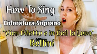 How To Sing Vien Diletto e in Ciel la Luna Bellini  Slow Motion Coloratura tutorial [upl. by Annahsit]