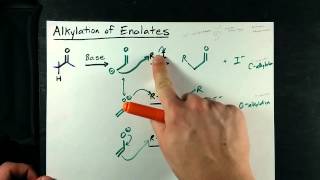 Alkylation of Enolates  Ketone  Alkyl Halide [upl. by Eihcir]