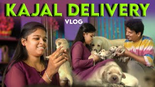 KAJAL became MOM😢 Delivery Vlog ❤️ [upl. by Yenolem204]