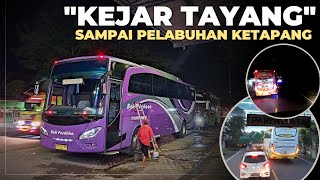 JANGAN SAMPAI KESALIP BUS WISATA‼️ Bus Bali Perdana Surabaya  Denpasar  Bangli [upl. by Jeff]