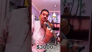 Difference between Cheep violin amp Expensive Violin [upl. by Emearg17]