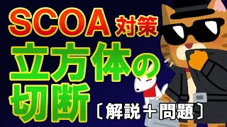 【SCOA】”立方体の切断（切り口）” 解き方解説（分野：論理）〔スピード勝負！SCOA対策〕｜就活・転職・公務員試験対策 [upl. by Sedda]