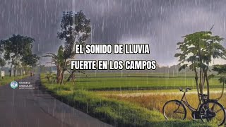 LLUVIA FUERTE EN UNA CALLE EN MEDIO DE HERMOSOS CAMPOS ES BUENO ESCUCHAR ASMR VARIETASUNGGULAN [upl. by Mcquillin]