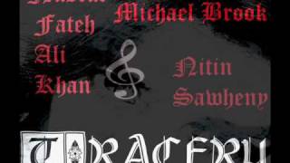 Tracery  Nusrat Fateh Ali Khan Feat Michael Brook  Nitin Sawheny Mix [upl. by Hayse435]