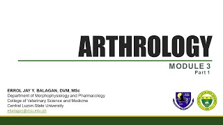 Arthrology Part 1  Joint Classification [upl. by Latimer259]