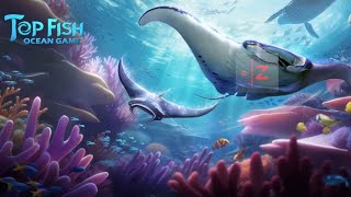 Top Fish Ocean Game Gameplay Android [upl. by Eeraj]