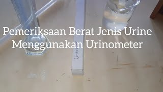 Urinalisis Pemeriksaan Berat Jenis Urine Urinometer [upl. by Shanleigh]