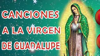 La Virgen De Guadalupe  Cántos a la virgen de Guadalup  Mañanitas Guadalupanas [upl. by Akinnej]