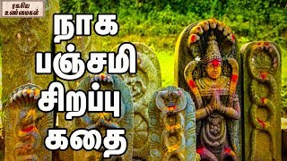 நாக பஞ்சமி சிறப்பு கதை  Naga Panchami special [upl. by Taylor]