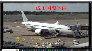 成田国際空港第１ターミナルにて 2024年10月13日 [upl. by Beasley863]