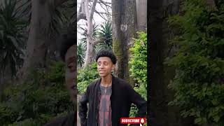 Gossay tesfaye Shega lij music ethiopianmusic AleTube comedianeshetu [upl. by Franzoni]