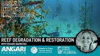 Ocean Expert Exchange Reef Degradation amp Restoration [upl. by Eyde]