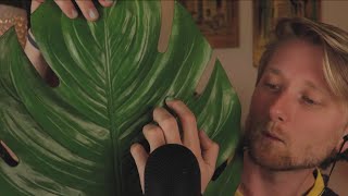 ASMR with The Big Green Leaf Tapping Scratching and Sticky Squishes [upl. by Adnuhsed192]