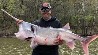 Monster Fish in Oklahoma Snagging Paddlefish with TMcDs Guide Service [upl. by Rephotsirhc]