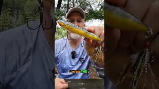 Upgrade Your Fishing Game Mustad Hooks vs Junky Options [upl. by Janus]