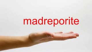 How to Pronounce madreporite  American English [upl. by Vernor]