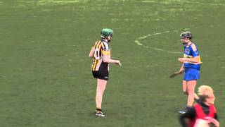 Tipperary V Kilkenny Highlights [upl. by Arbas845]