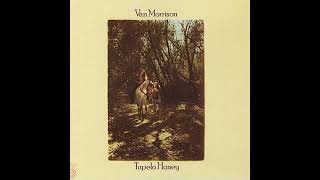 Van Morrison  Tupelo Honey 1971 Part 2 Full Album [upl. by Duwad965]