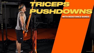 Arms  How To Do Triceps Pushdowns with Resistance Bands [upl. by Arotahs]