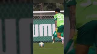 FELIPE ANDERSON FAZ GOLAÇO NO TREINO DO PALMEIRAS [upl. by Hardie]