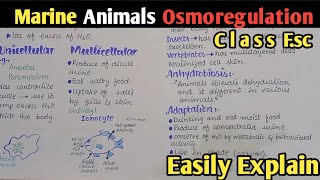 Osmoregulation In Marine Animals  Class 12 Biology [upl. by Niawat6]