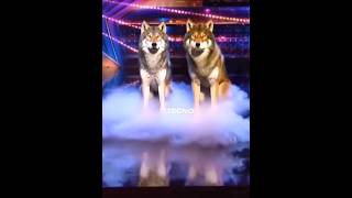 OMG 😳😱 THIS GUYS SHOCKED HOLE AGT JUDGES AND PEOPLE 😱😳 WATCH UNTIL THE END 🔚 agt foryou goviral [upl. by Janifer157]