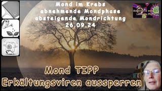 Mond TIPP für die Gesundheit  Erkältungsviren aussperren [upl. by Brinn929]