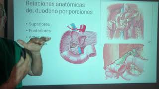 Anatomia Quirurgica del Duodeno Intestino delgado Atresia Duodenal Páncreas anular [upl. by Cesya]