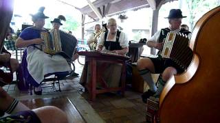 Gaufest 2009 Music Zither Button Box Accordion Hackbrett Bass Tuba Harp Guitar [upl. by Anigroeg]